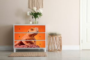 Elegant Chameleon Furniture Wallpaper